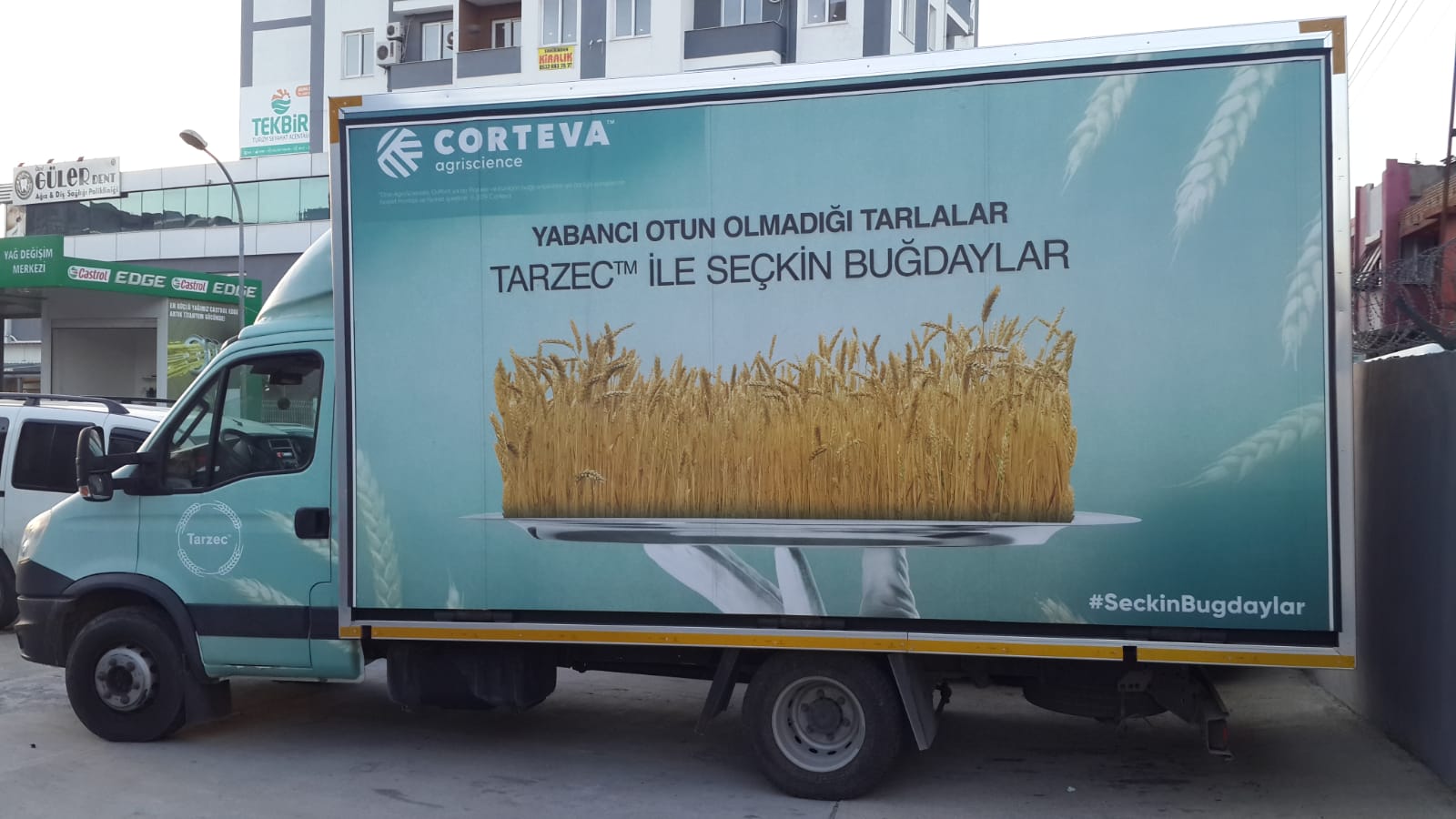 Corteva - Seçkin Buğdaylar 